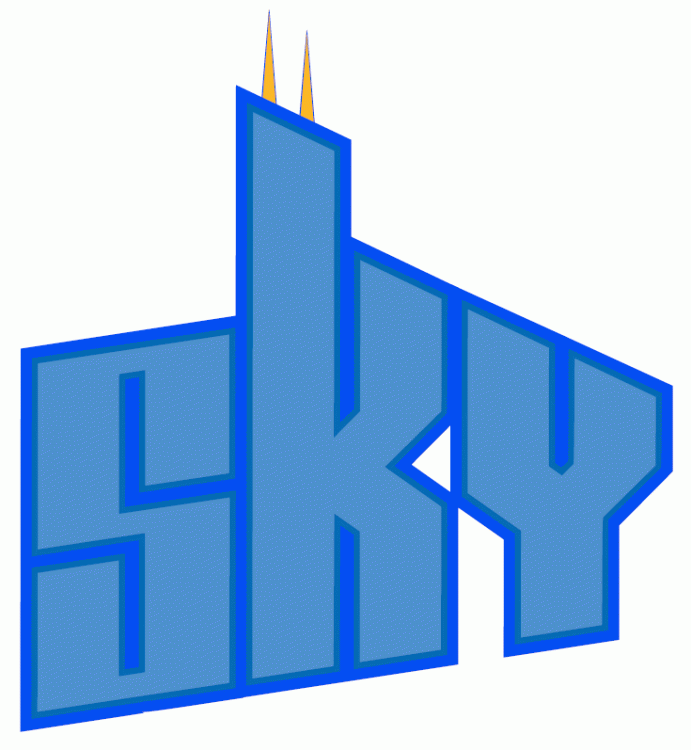 Chicago Sky 2006-Pres Wordmark Logo v3 iron on transfers for T-shirts